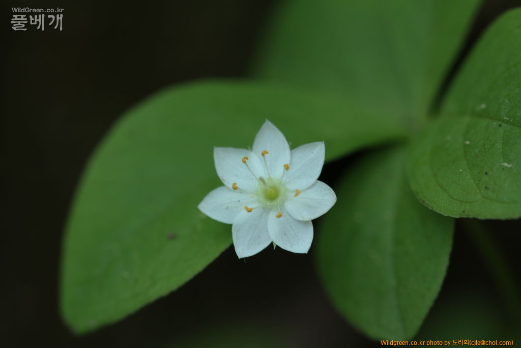 mcjle150613 설악산 409-1.jpg