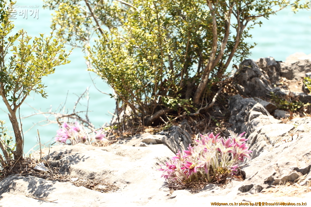 DPP_2015.03.26 문산교0036.JPG