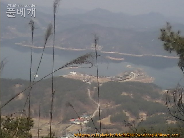 사진150308_032.jpg : 대청호의 겨울