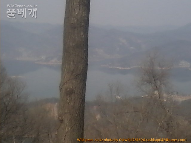 사진150308_038.jpg : 대청호의 겨울