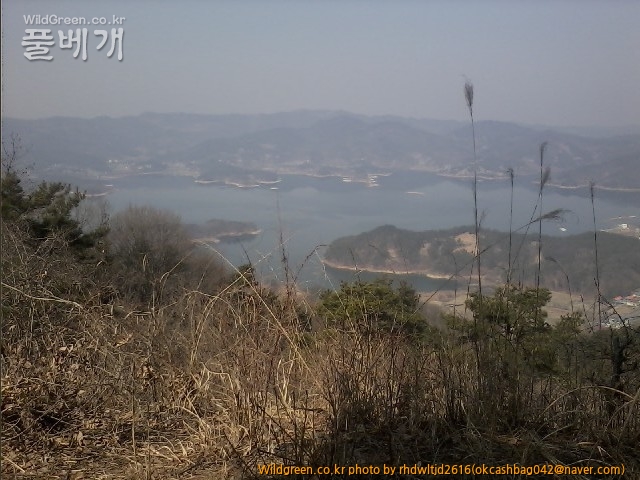 사진150308_028.jpg : 대청호의 겨울