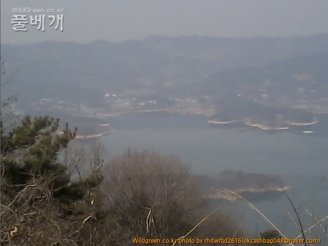 사진150308_030.jpg : 대청호의 겨울