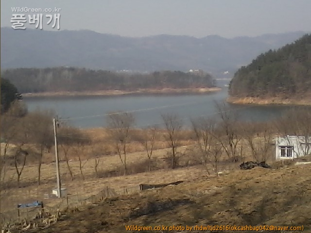 사진150308_003.jpg : 대청호의 겨울