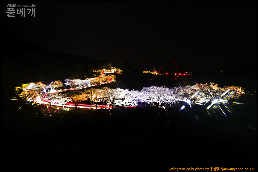 DSC_2982(15-10)-a(h)-.jpg : 벚꽃길
