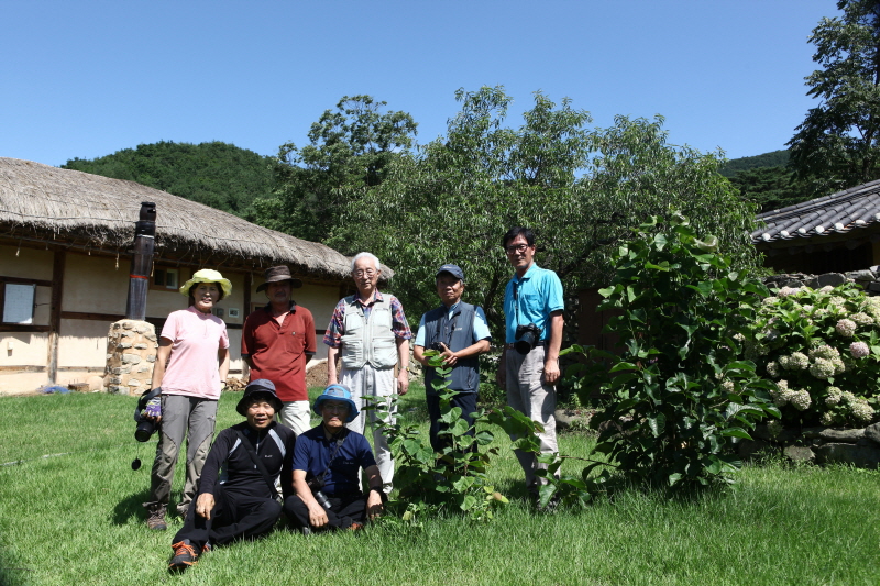 IMG_7400.jpg : 도산초실(성회장 댁) 출사 IMG_7400.jpg : 도산초실(성회장 댁) 출사