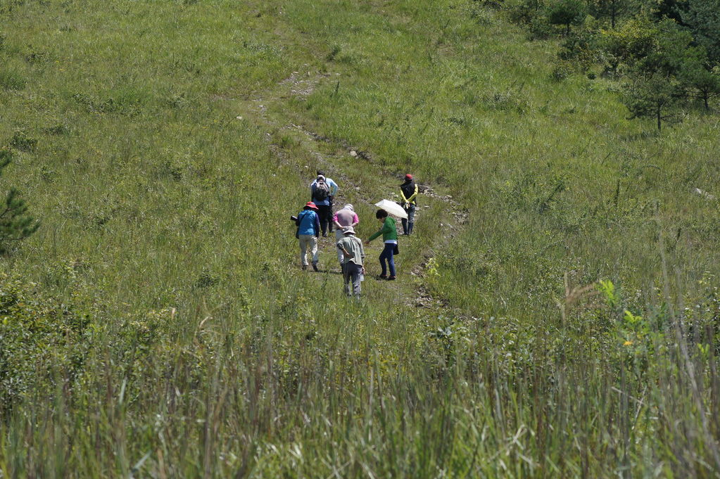 DSC01830.JPG : [재공지]상주 출사