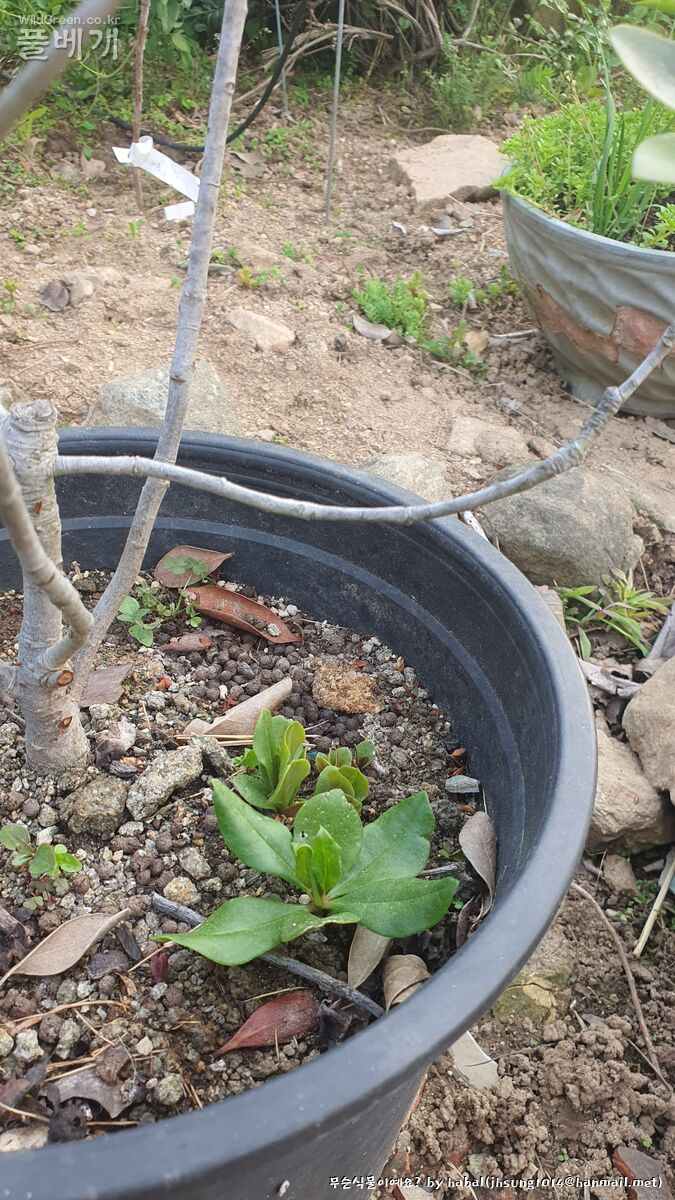 20250513_183552 (1).jpg