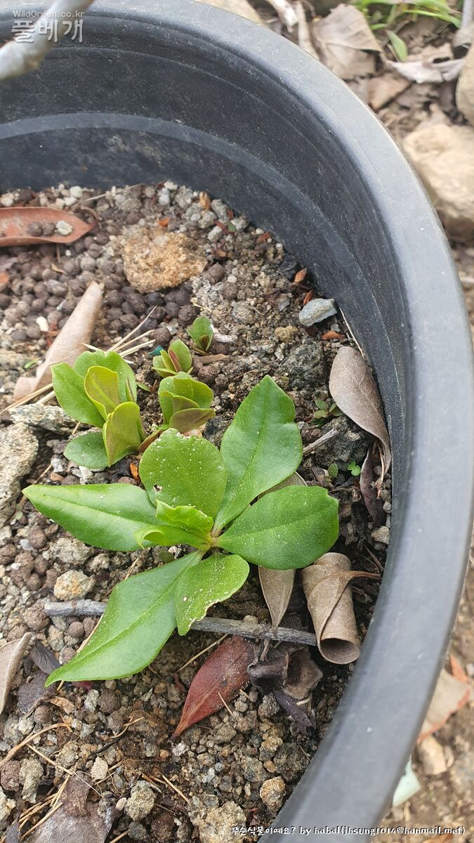 20250513_183546 (1).jpg