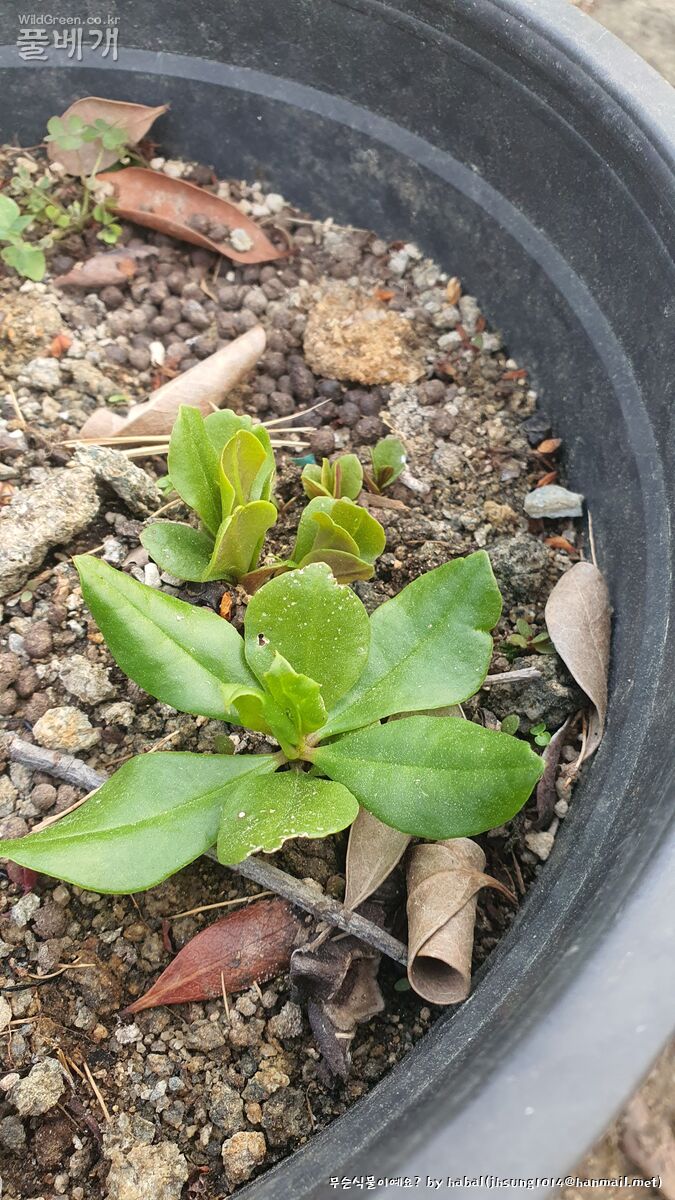 20250513_183535 (1).jpg