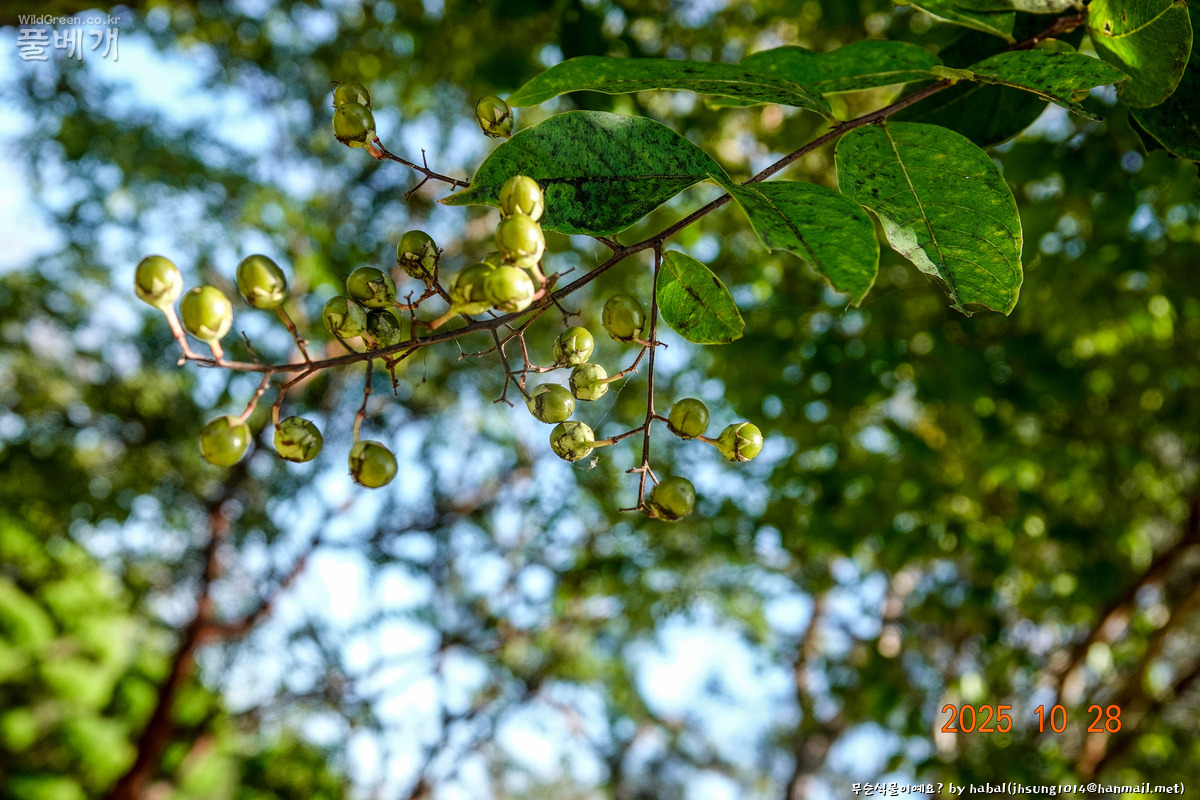 해미성지 (25).jpg