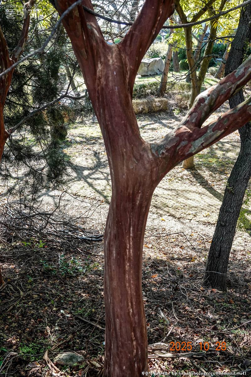 해미성지 (19).jpg