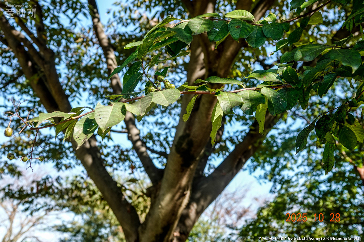 해미성지 (26).jpg