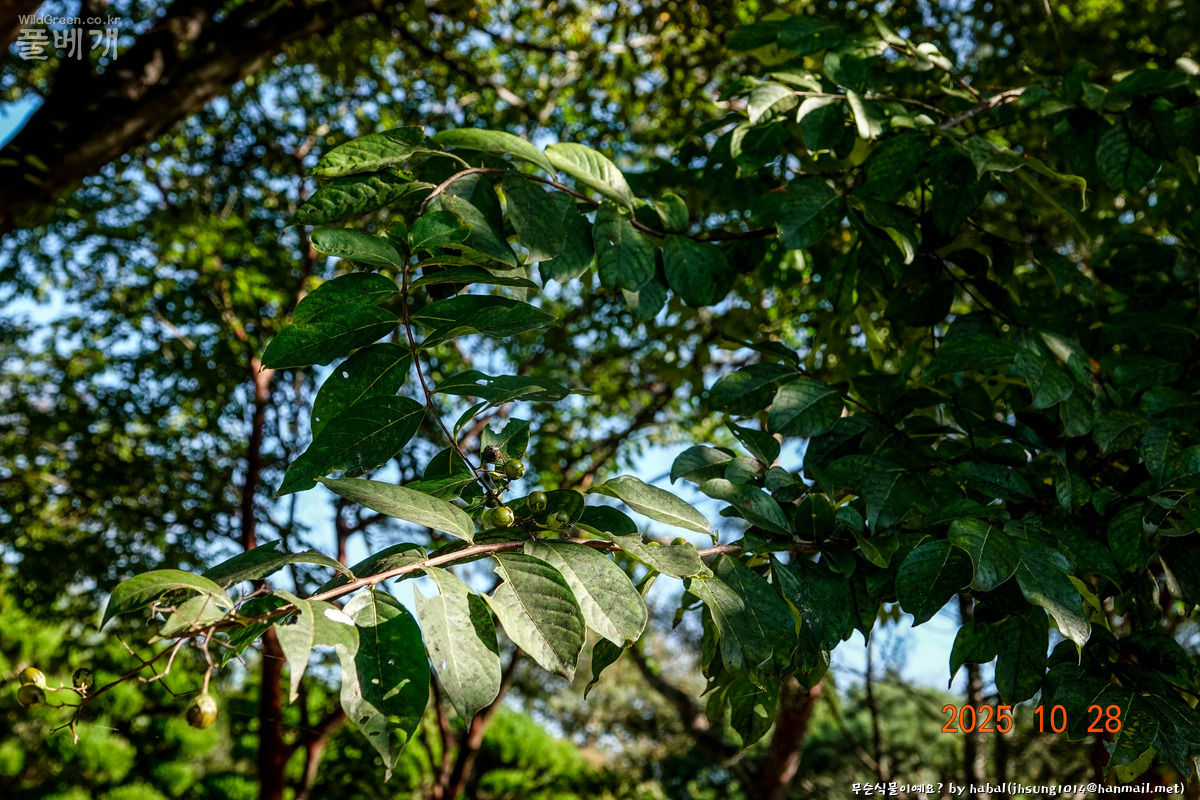 해미성지 (27).jpg