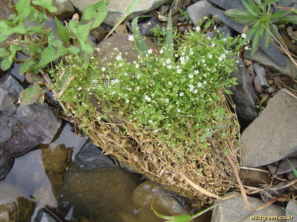 SNC10339.JPG : 안녕하세요