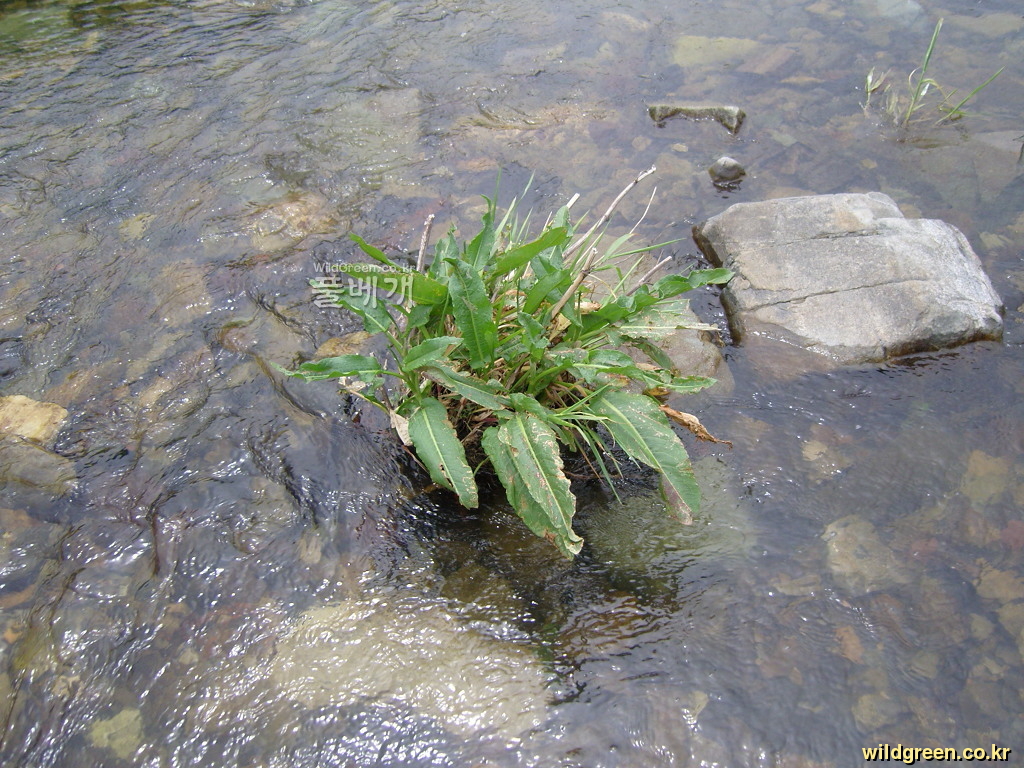 SNC10336.JPG : 안녕하세요