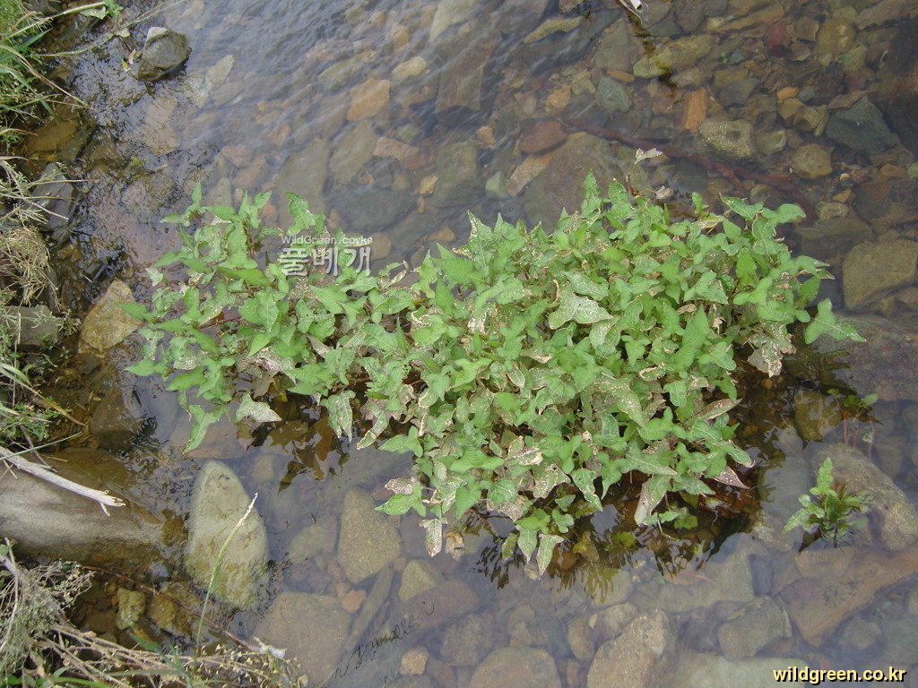 SNC10337.JPG : 안녕하세요