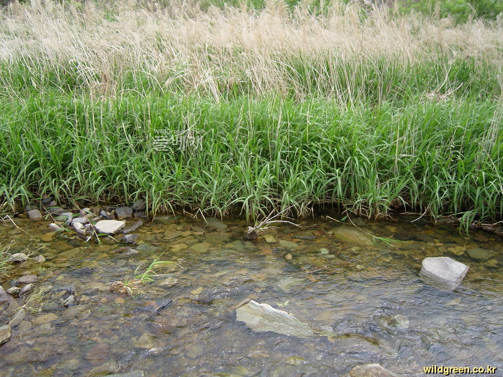 SNC10341.JPG : 안녕하세요1