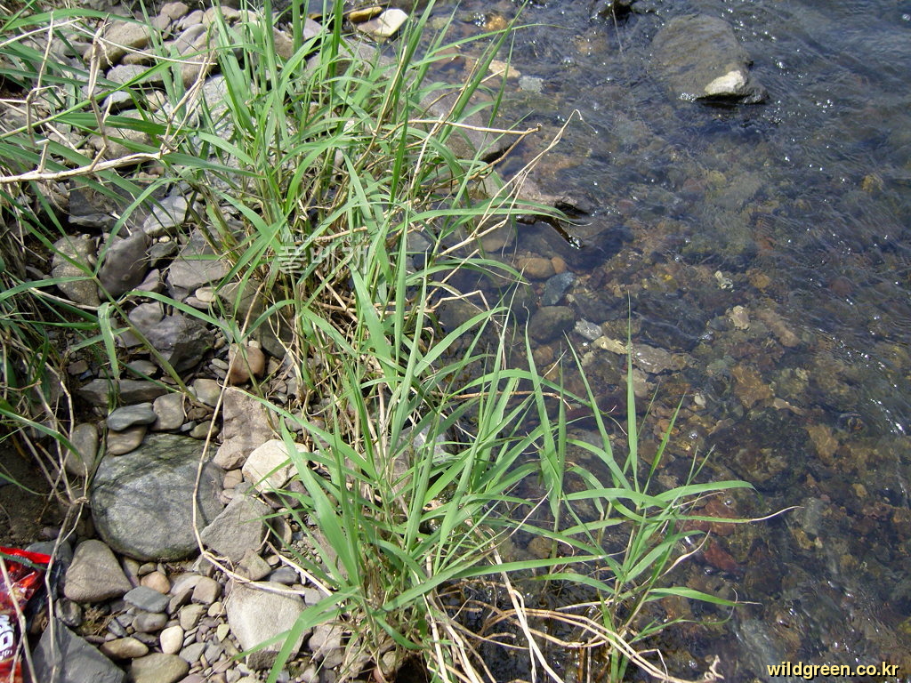 SNC10379.JPG : 안녕하세요1