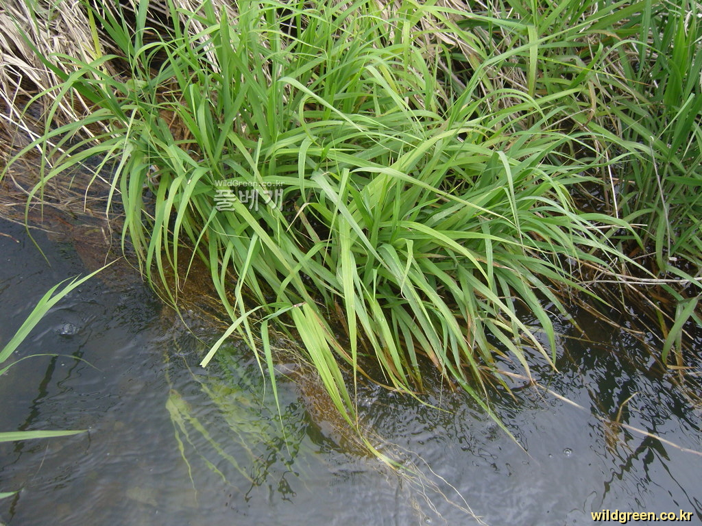 SNC10343.JPG : 안녕하세요1