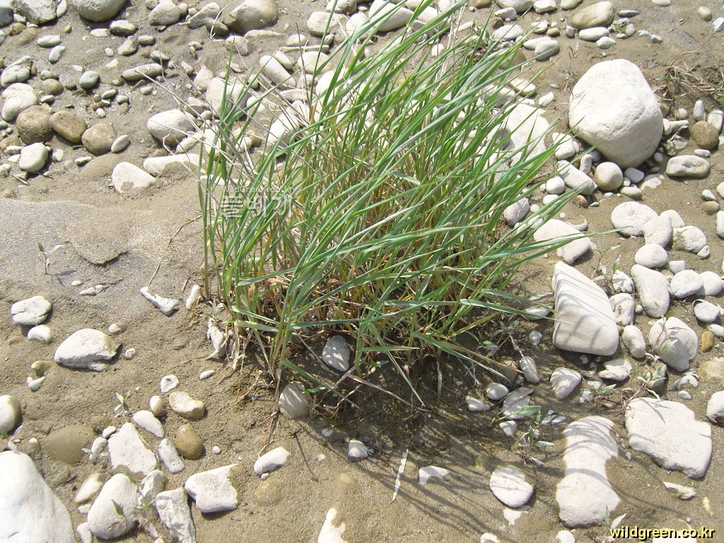 SNC10428.JPG : 안녕하세요2