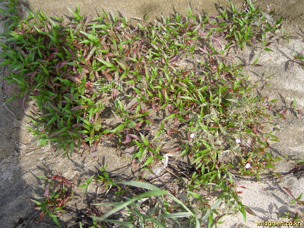 SNC10420.JPG : 안녕하세요2