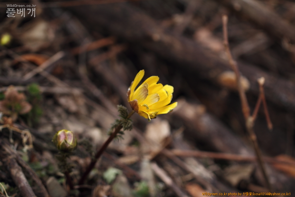 DPP_2018.2.21 울산 북구 강동동1458.JPG : 울산북구 강동동 답사