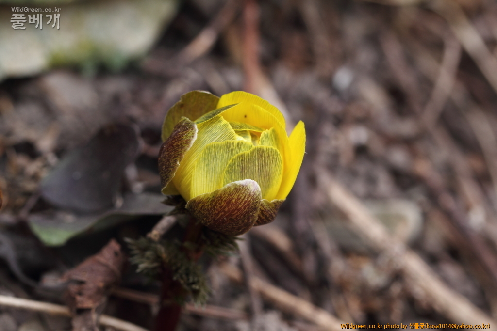 DPP_2018.2.21 울산 북구 강동동1457.JPG : 울산북구 강동동 답사