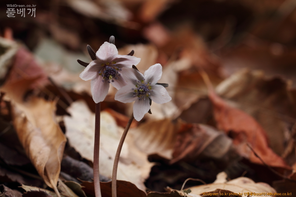 DPP_2018.2.21 울산 북구 강동동1455.JPG : 울산북구 강동동 답사