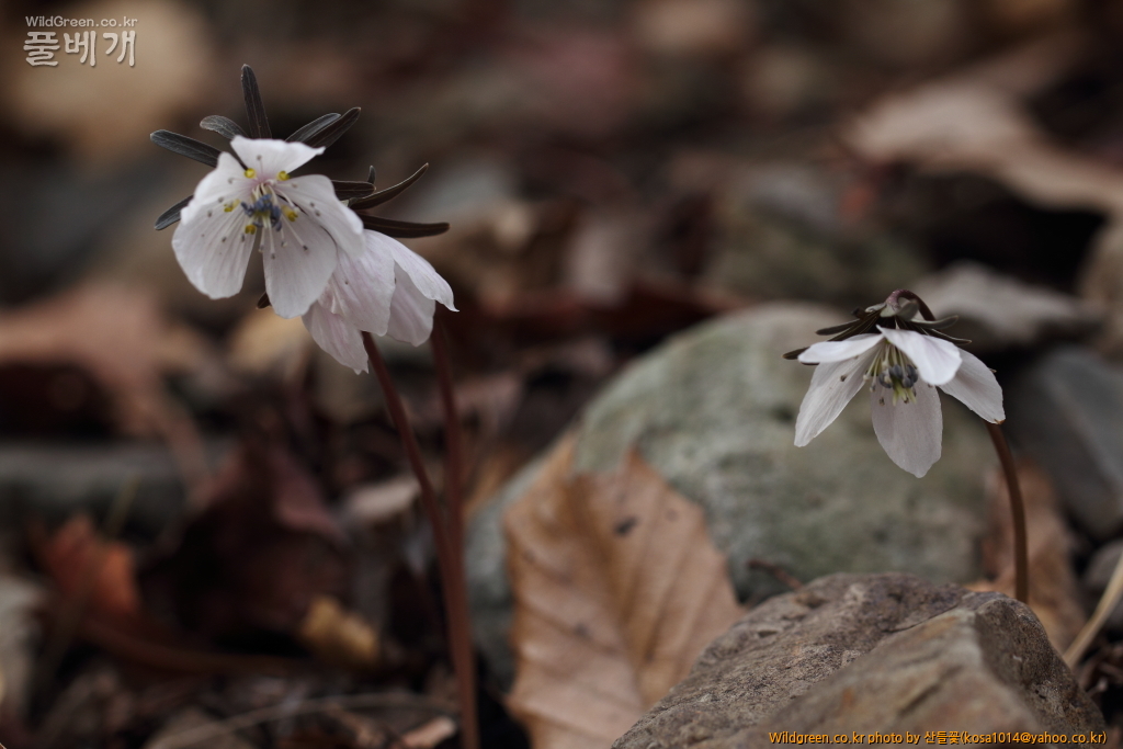 DPP_2018.2.21 울산 북구 강동동1451.JPG : 울산북구 강동동 답사
