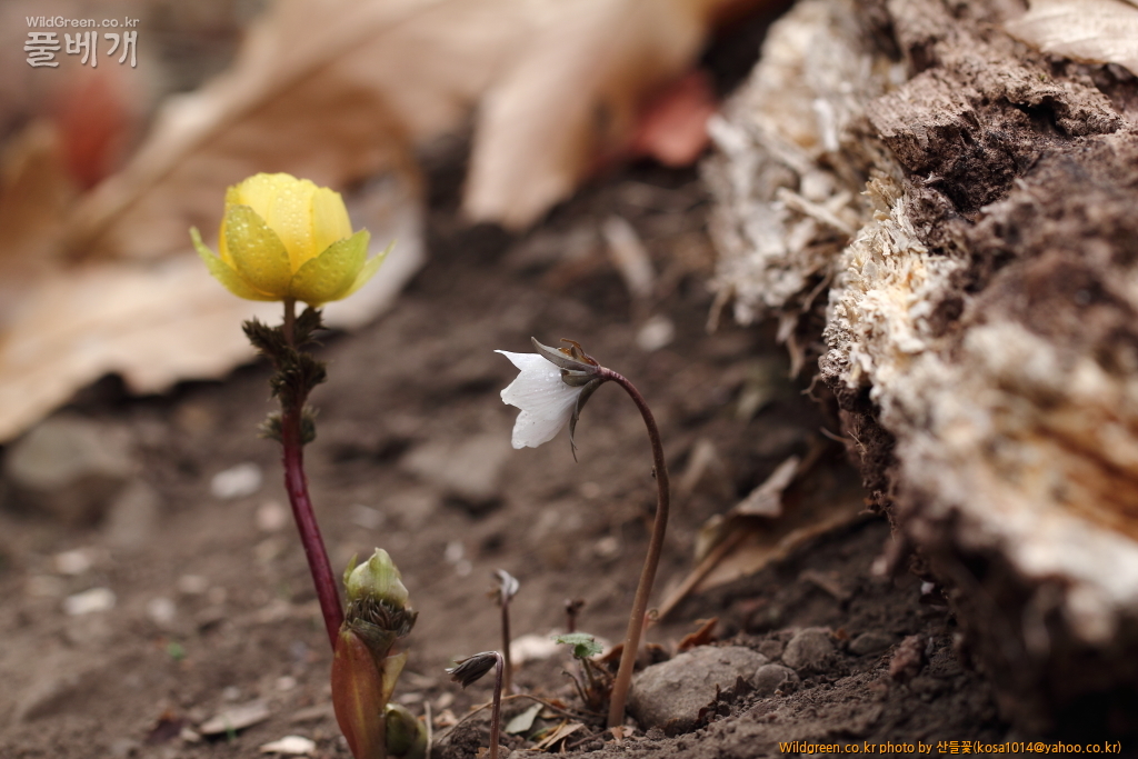 DPP_2018.2.21 울산 북구 강동동1449.JPG : 울산북구 강동동 답사