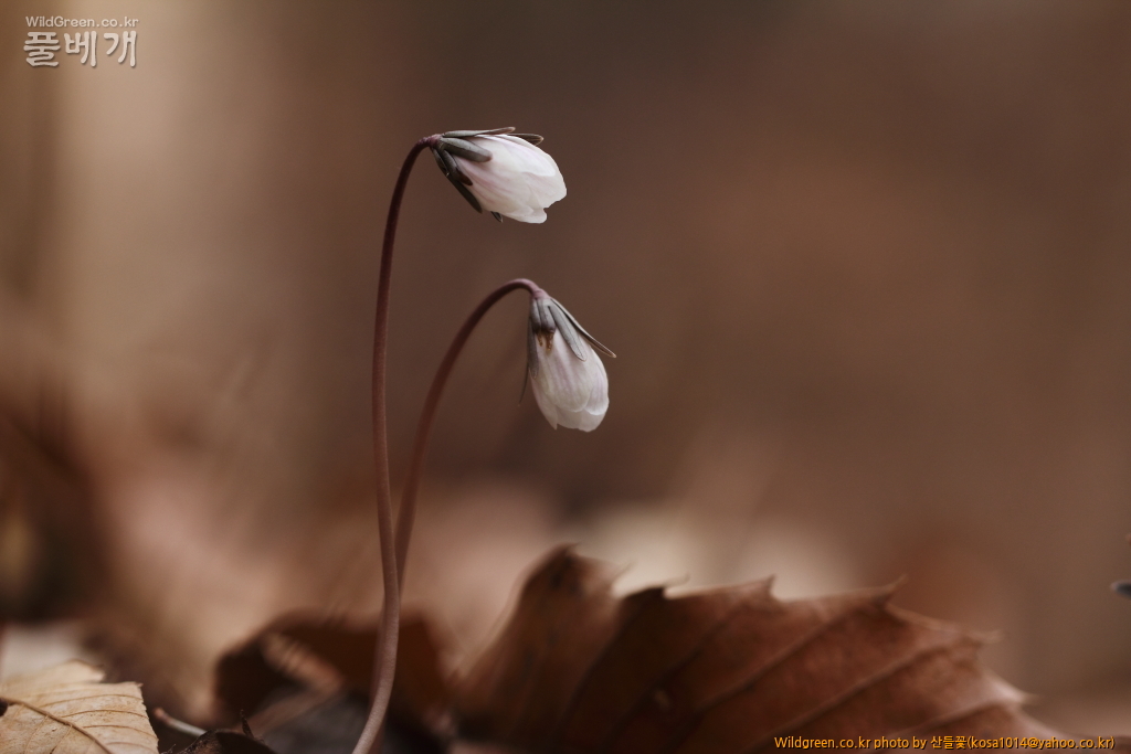 DPP_2018.2.21 울산 북구 강동동1452.JPG : 울산북구 강동동 답사