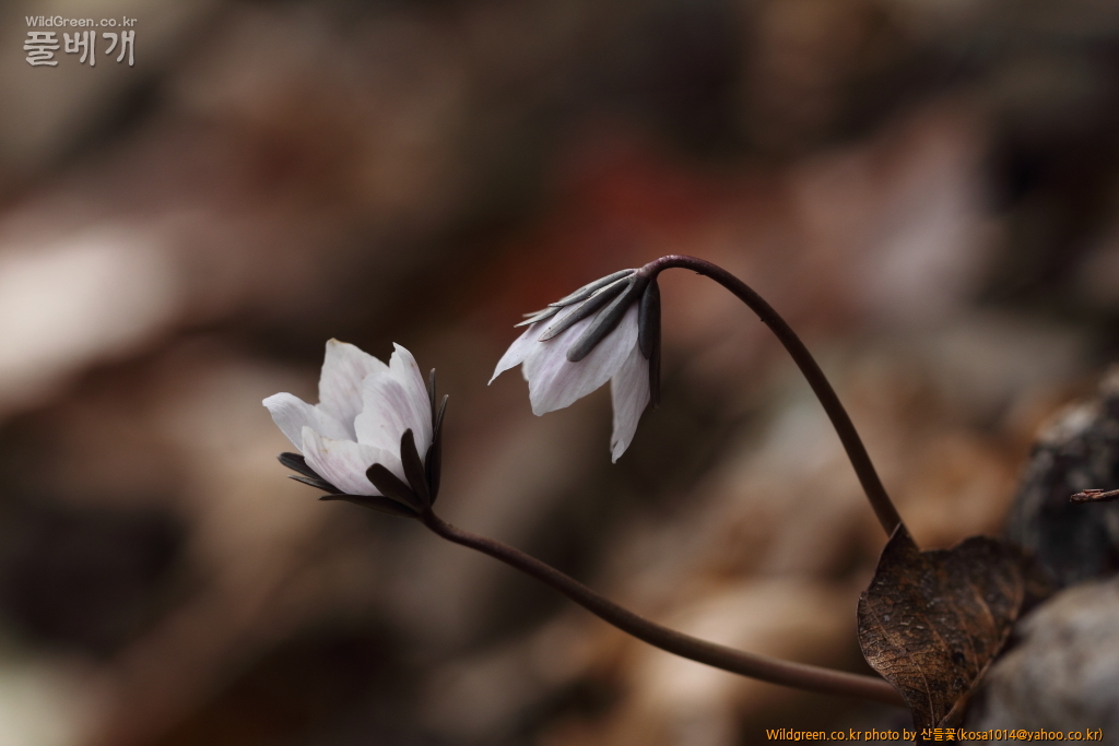 DPP_2018.2.21 울산 북구 강동동1443.JPG : 울산북구 강동동 답사