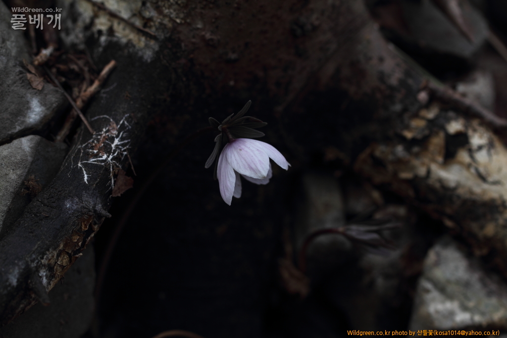 DPP_2018.2.21 울산 북구 강동동1446.JPG : 울산북구 강동동 답사