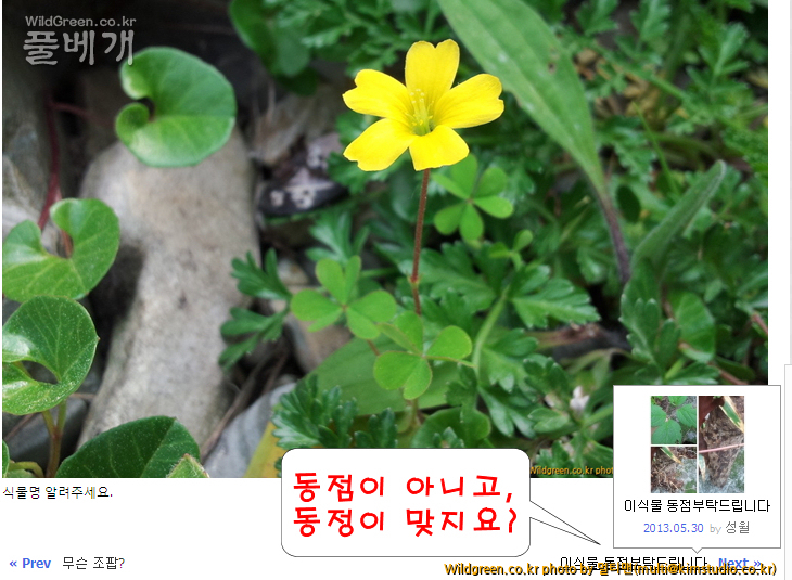 이미지1.jpg : 안내글자 수정해 주세요.