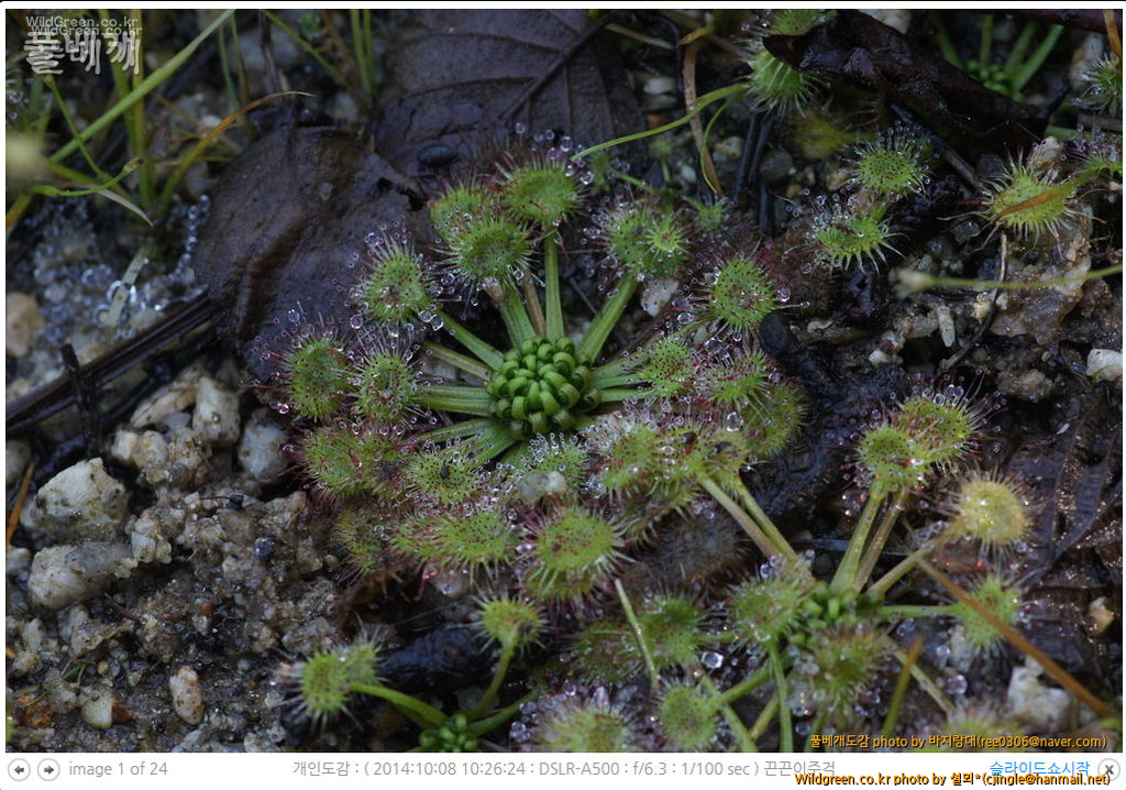 Untitled-1.jpg : 개인도감 열람에 관한....