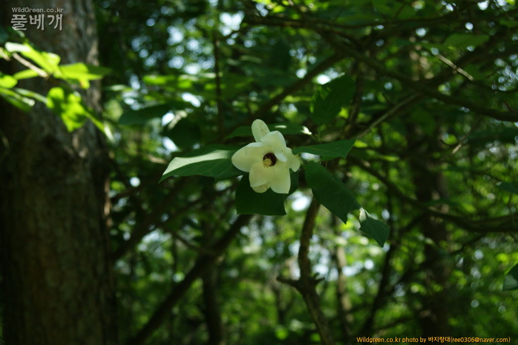 DSC00022.JPG : 농담