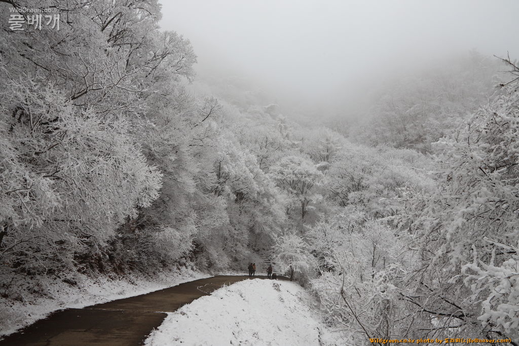 cjle190316 천마산 9526.JPG