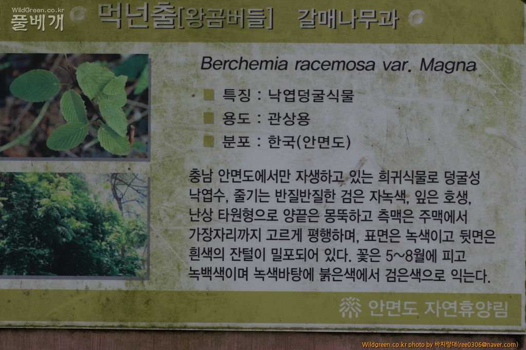 DSC07157.JPG : 안면도 보고