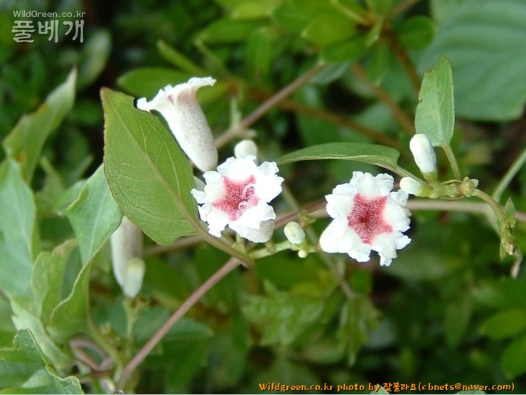 2020-08-09 16,03,11.jpg