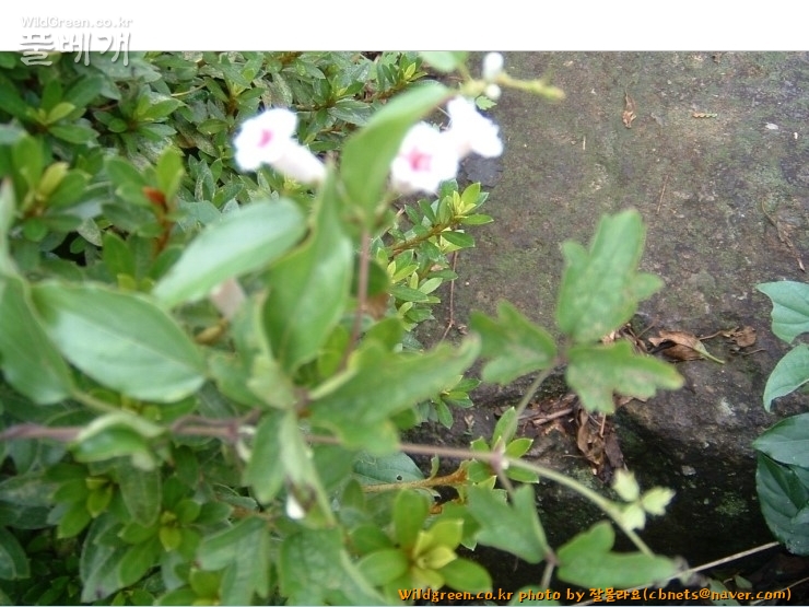 2020-08-09 16,03,32.jpg