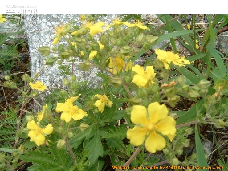 2020-08-09 16,06,01.jpg