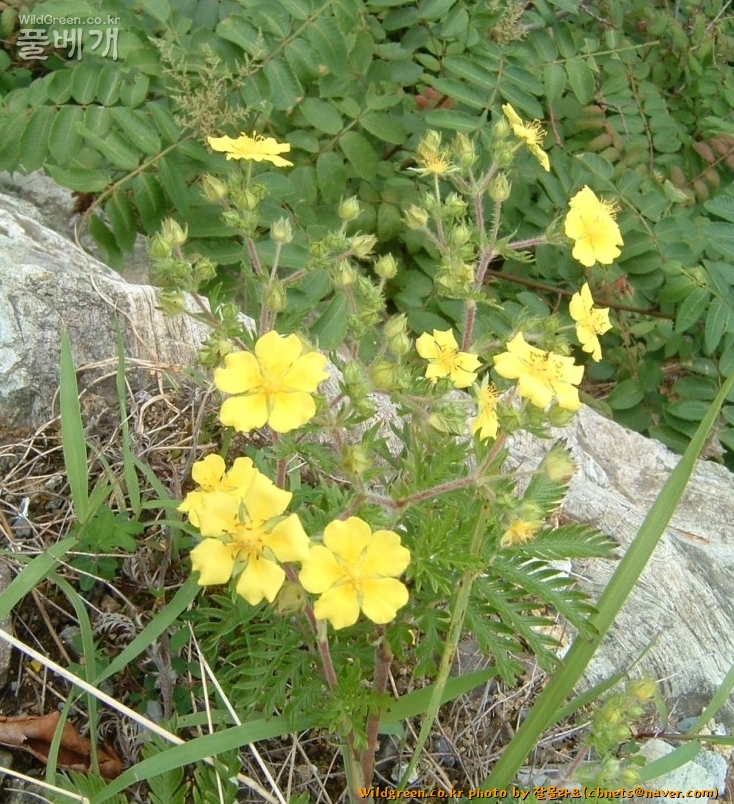 2020-08-09 16,06,28.jpg