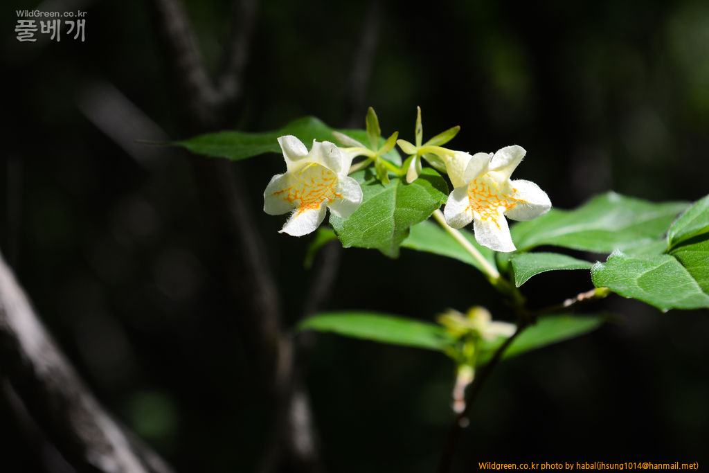 주걱댕강-2 (6).jpg : 오늘~~~!