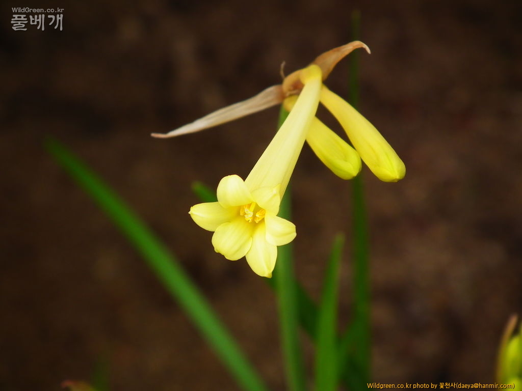 사진 1221.jpg : 키르탄서스