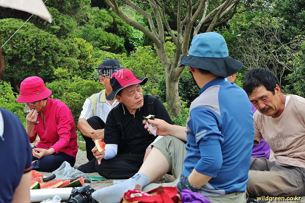 IMG_8266.JPG : 글로리오사(불새)와 스타게이져 원종입니다.