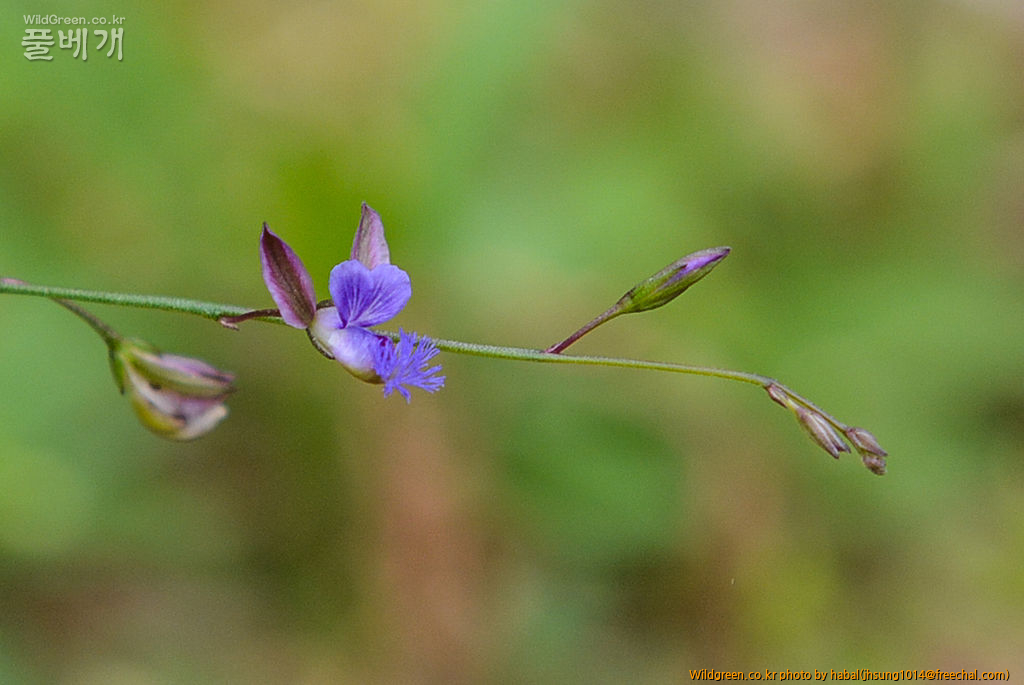 DSC_9769-1-2.jpg : 원지 DSC_9769-1-2.jpg : 원지