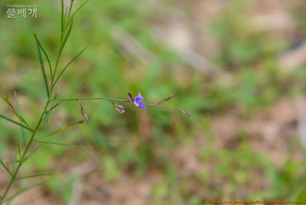 DSC_9769-1.jpg : 원지 DSC_9769-1.jpg : 원지