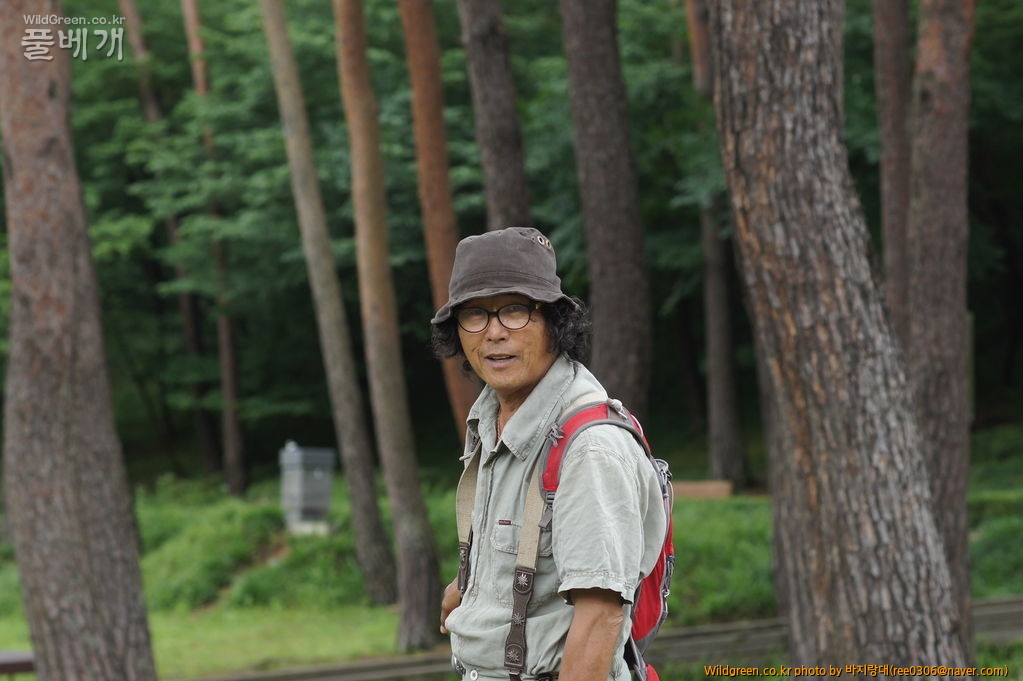 DSC07142.JPG : 안면도 보고