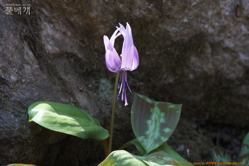 DSC04178.JPG : 날씨 좋은날