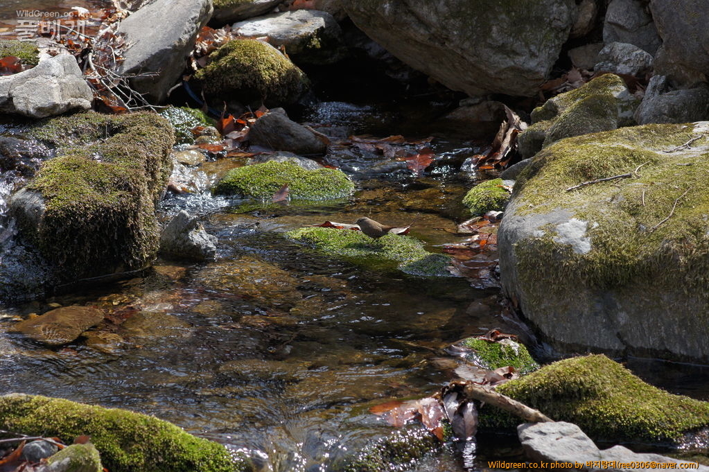 DSC04218.JPG : 날씨 좋은날